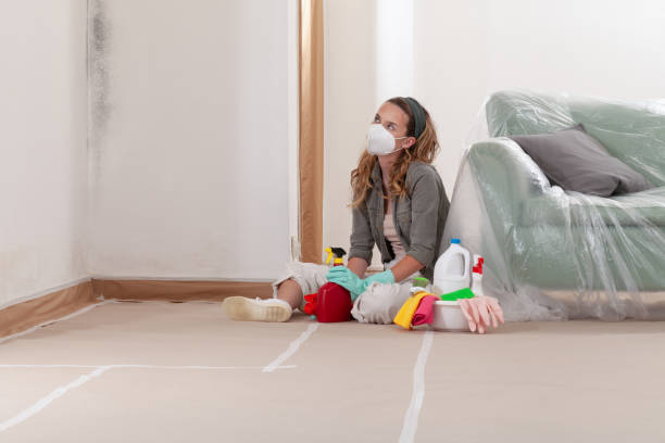 Reliable Mold Remediation contractor in Richmond, TX by WQB Mold Removal